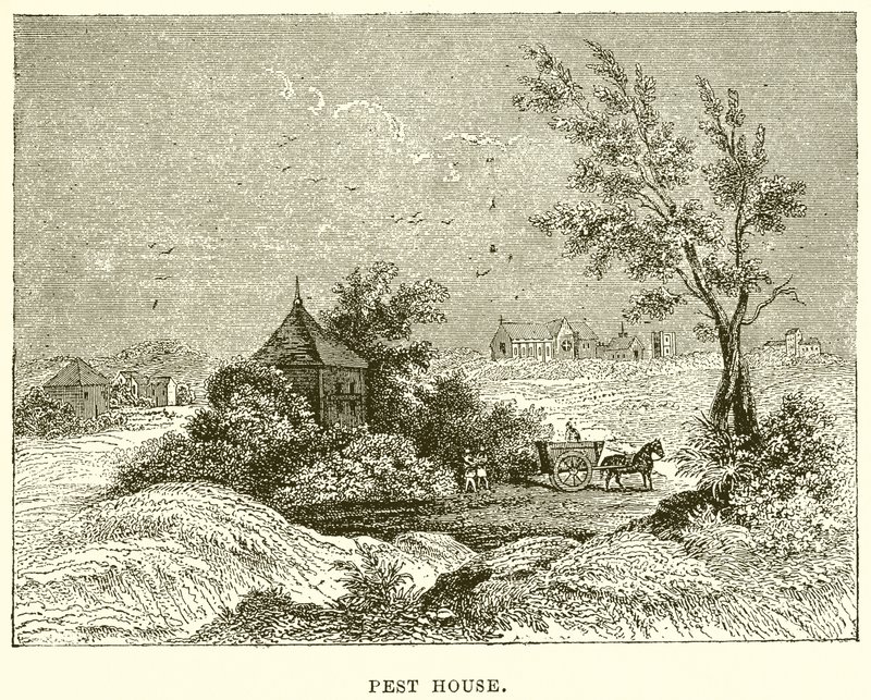 Pesthaus von English School