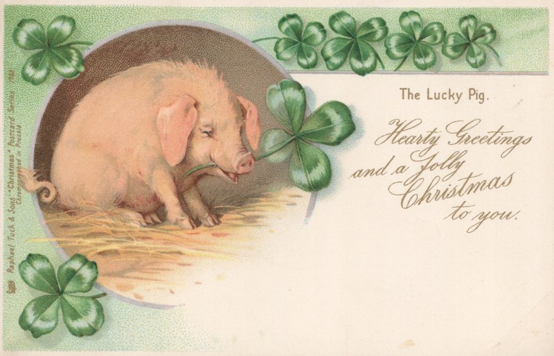 Schwein im Klee von English School