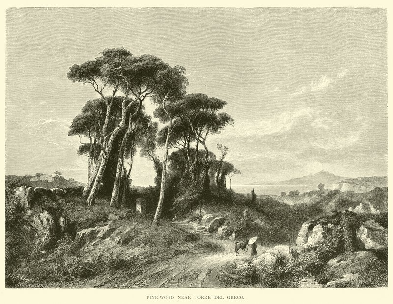 Pinienwald bei Torre del Greco von English School