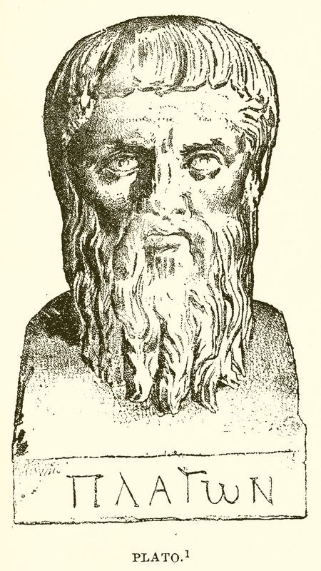 Platon von English School