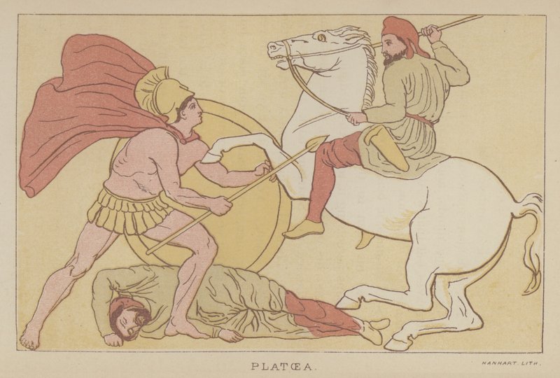 Plataea von English School