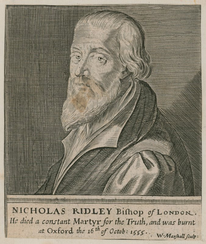 Porträt von Nicholas Ridley von English School