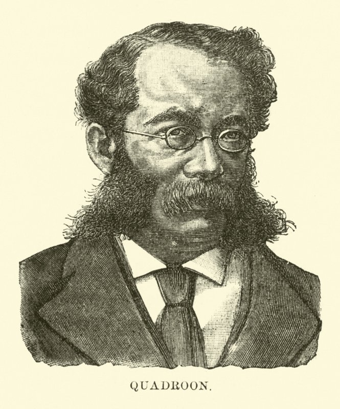 Quadroon von English School