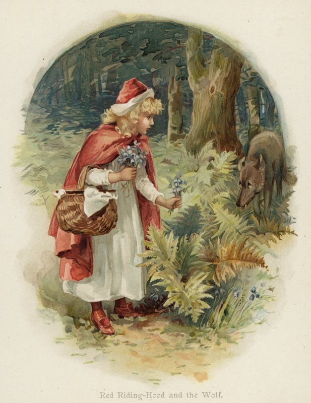 Rotkäppchen und der Wolf von English School