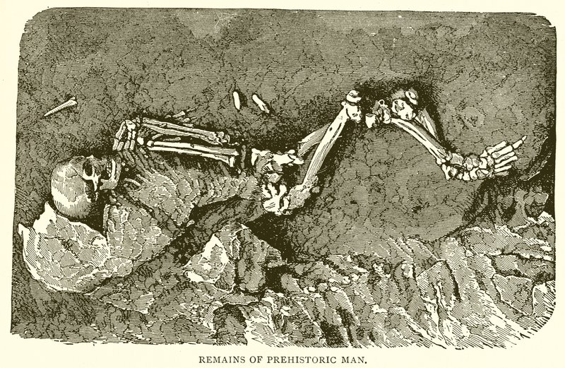 Überreste des prähistorischen Menschen von English School