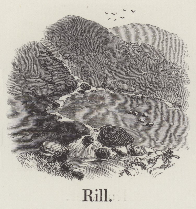 Rinnsal (Gravur) von English School