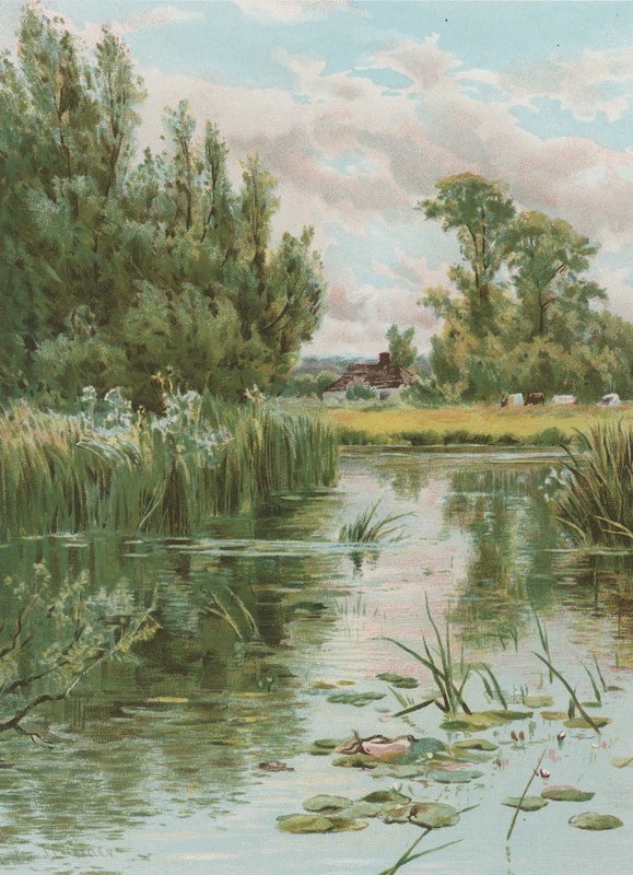Flusslandschaft von English School