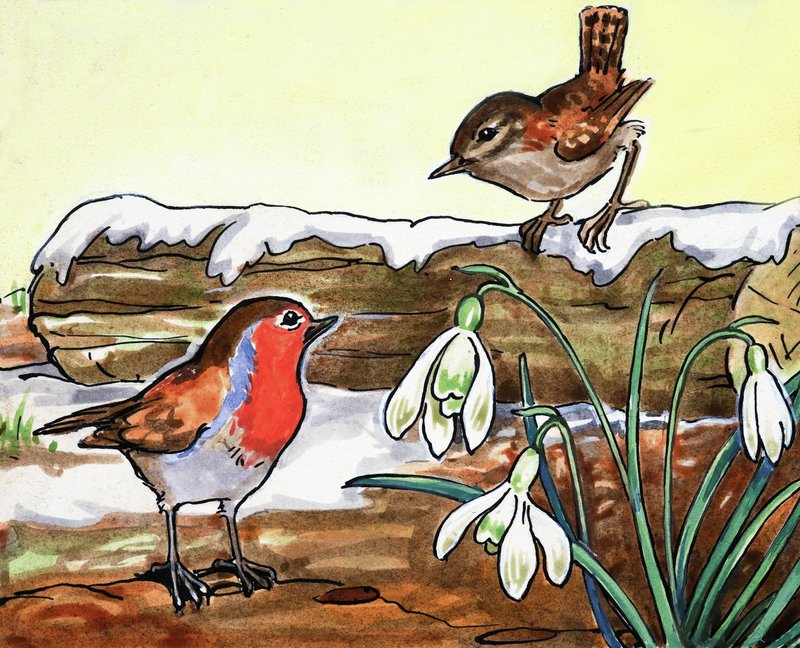 Rotkehlchen und Jenny Wren von English School