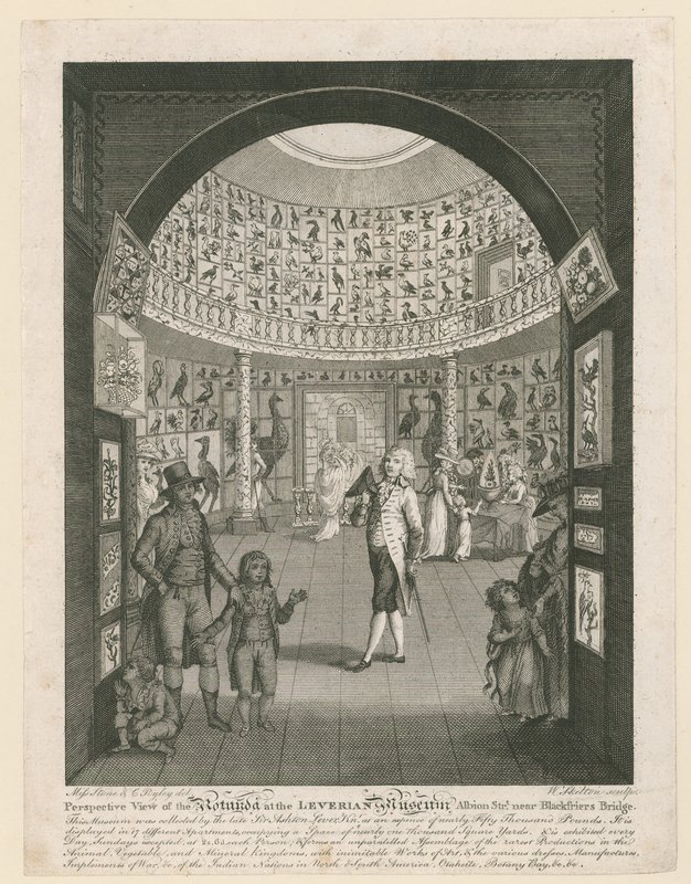 Rotunde im Leverian Museum von English School