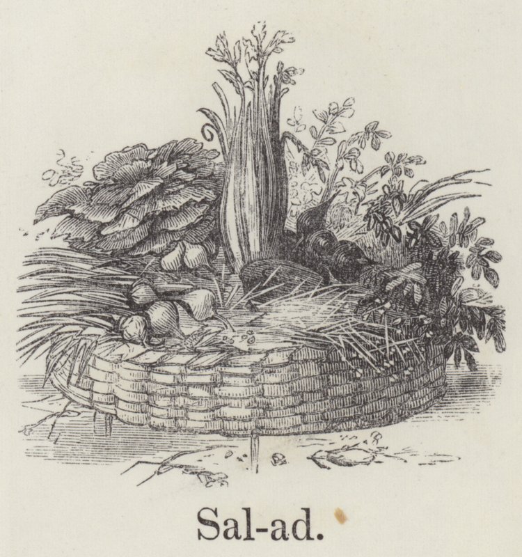 Salat (Gravur) von English School