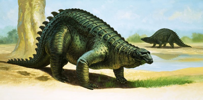 Scelidosaurus von English School