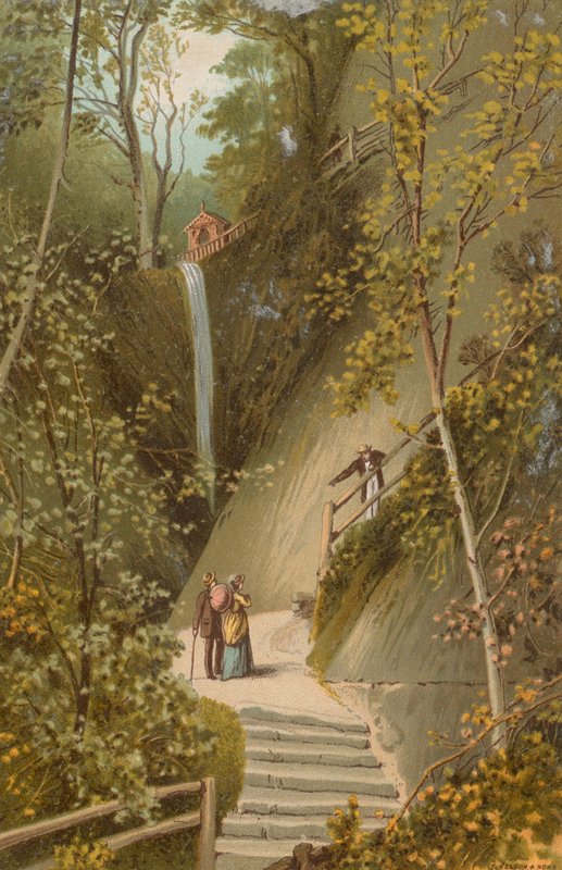 Shanklin Chine--Isle of Wight von English School