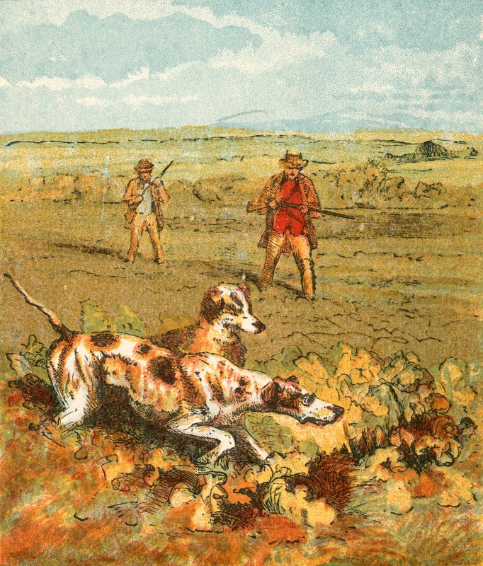 Jagd mit Vorstehhunden von English School