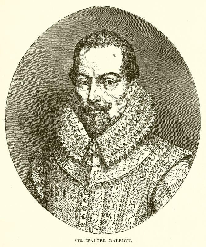 Sir Walter Raleigh von English School