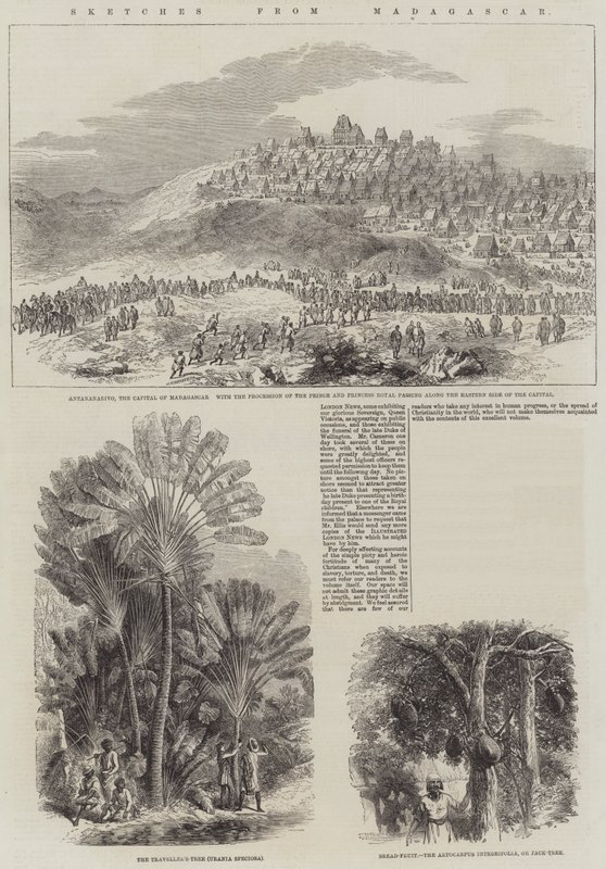 Skizzen aus Madagaskar (Gravur) von English School