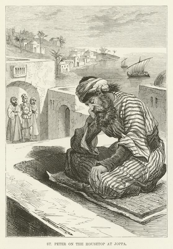 Der Heilige Petrus auf dem Dach in Joppa von English School