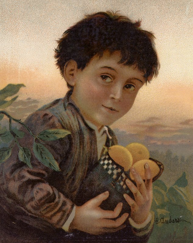 Gestohlene Früchte von English School