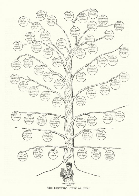 Der Barnardo „Baum des Lebens“ von English School