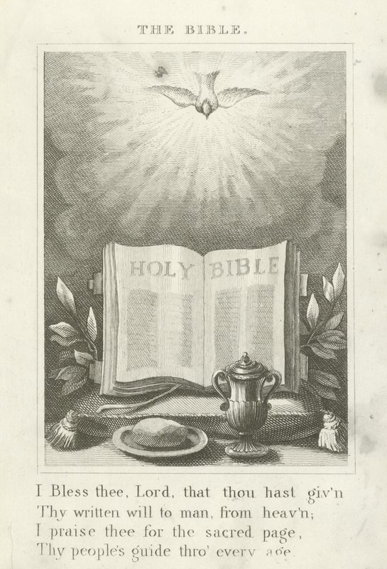 Die Bibel von English School
