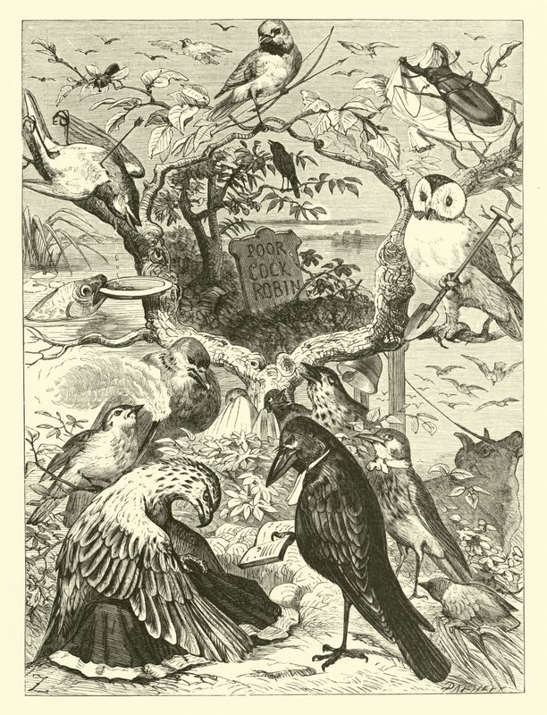 Der Tod und das Begräbnis von Cock Robin von English School