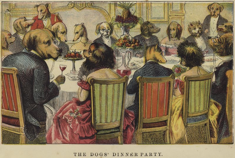 Das Hunde-Dinner von English School
