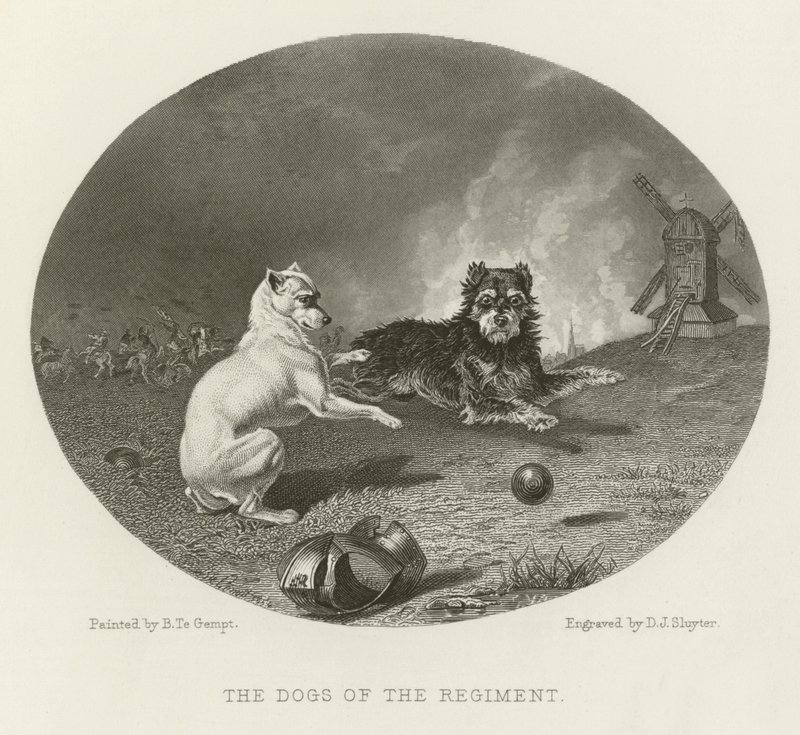 Die Hunde des Regiments von English School
