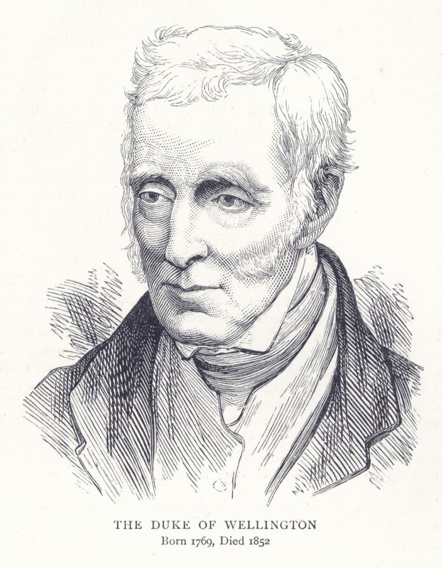 Der Herzog von Wellington von English School