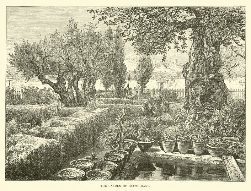 Der Garten Gethsemane von English School