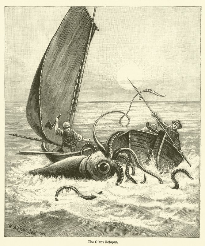 Der Riesentintenfisch (Gravur) von English School
