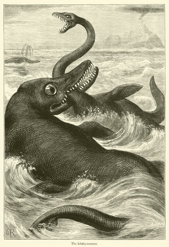 Der Ichthyosaurus von English School
