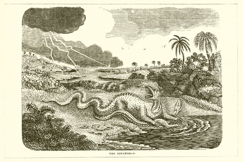 Der Iguanodon von English School