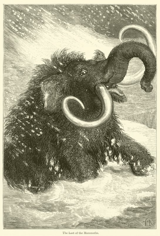 Das letzte der Mammuts (Stich) von English School