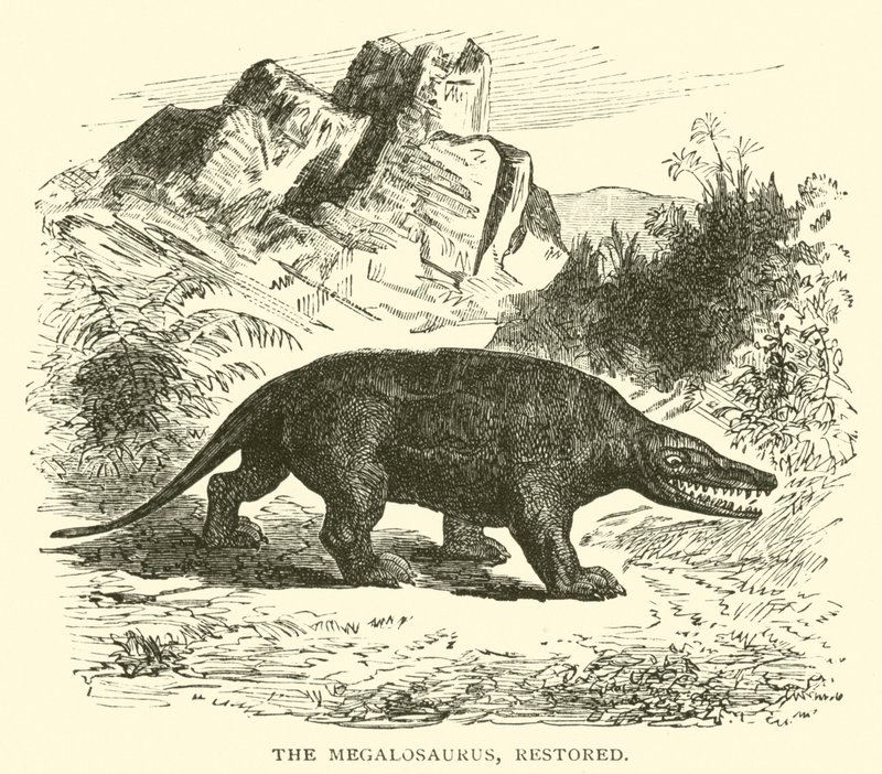 Der Megalosaurus, restauriert von English School