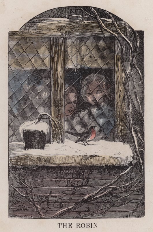 Das Rotkehlchen (farbige Gravur) von English School