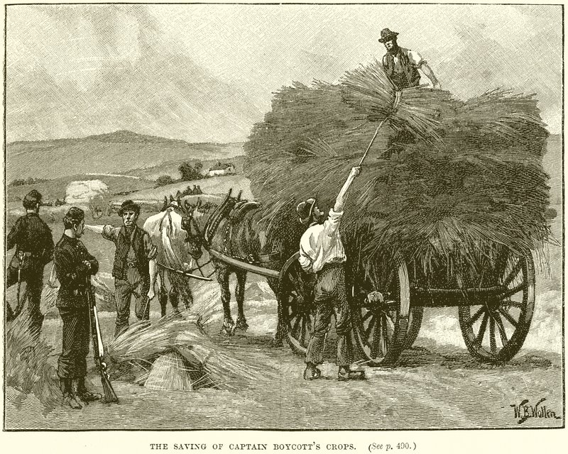 Die Rettung der Ernte von Captain Boycott von English School