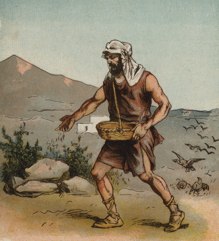 Der Sämann von English School