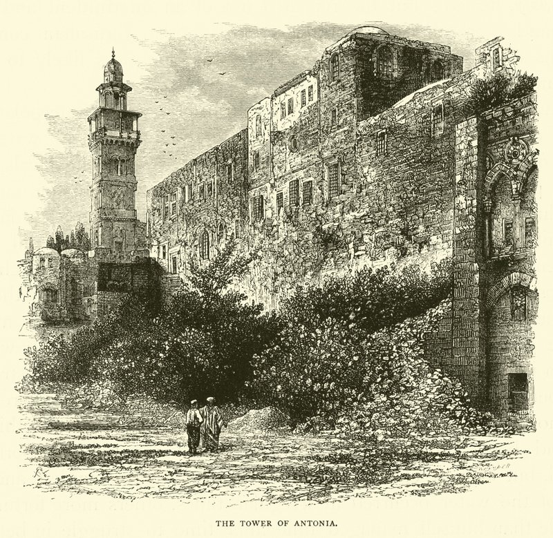 Der Turm von Antonia von English School