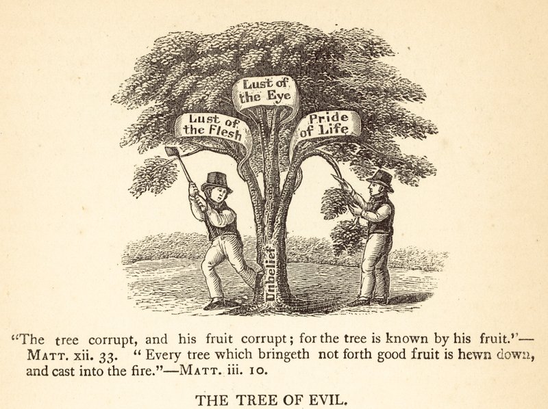 Der Baum des Bösen von English School