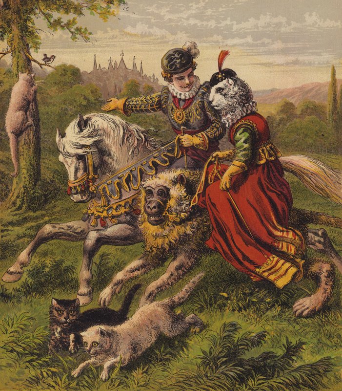 Die weiße Katze von English School