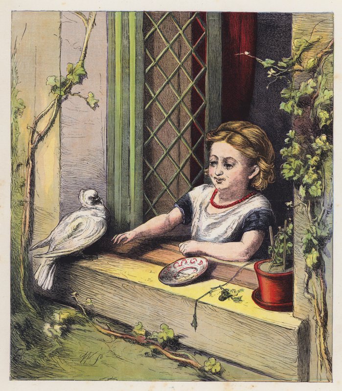 Die weiße Taube von English School