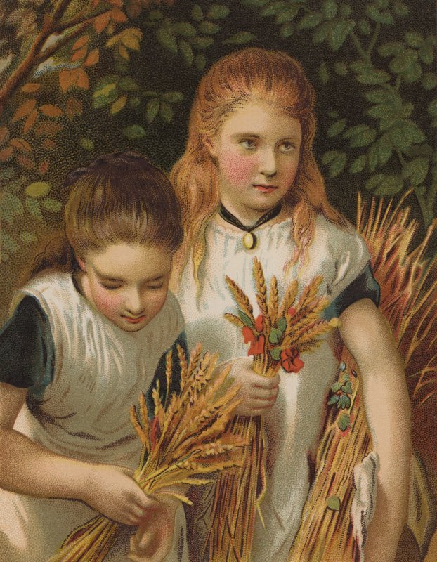 Die jungen Sammler von English School