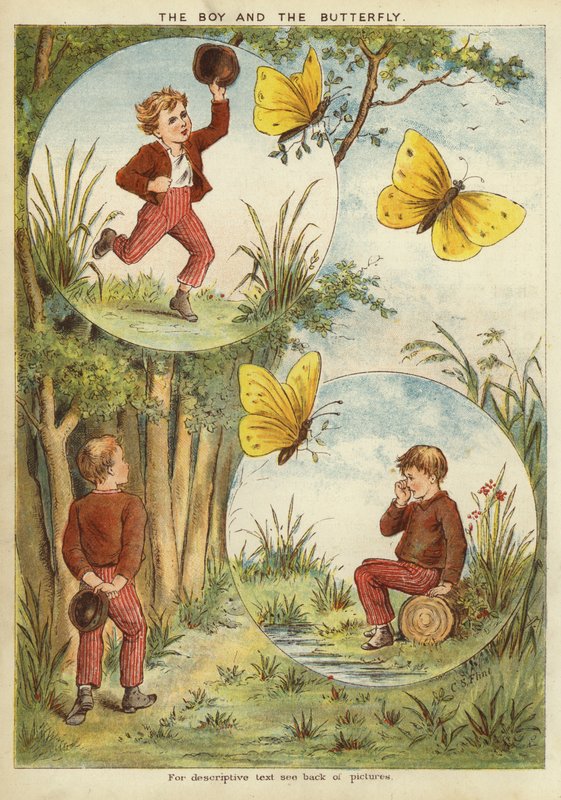 Der Junge und der Schmetterling von English School