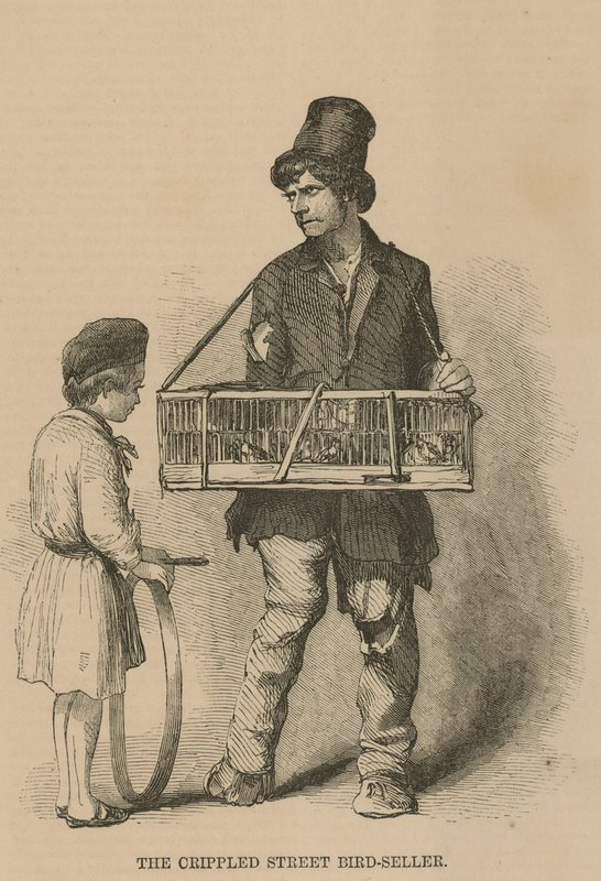 Der verkrüppelte Straßen-Vogelverkäufer von English School