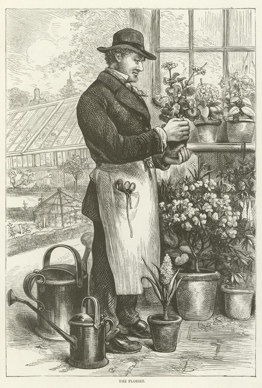 Der Florist von English School