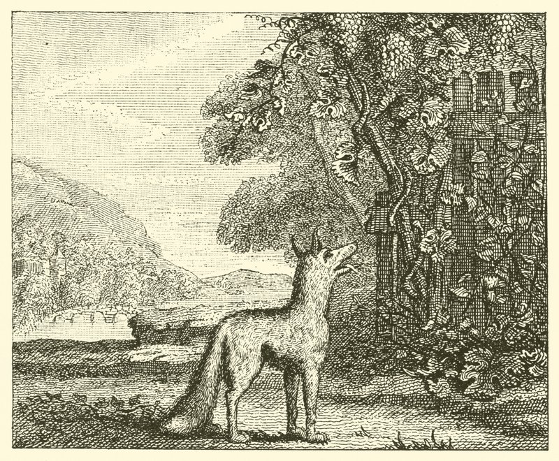 Der Fuchs und die Trauben von English School