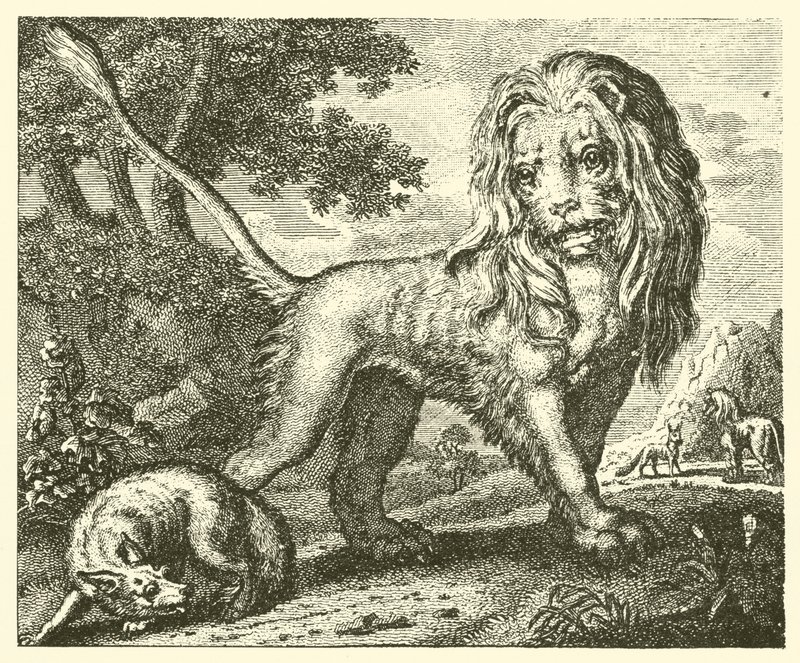Der Fuchs und der Löwe von English School