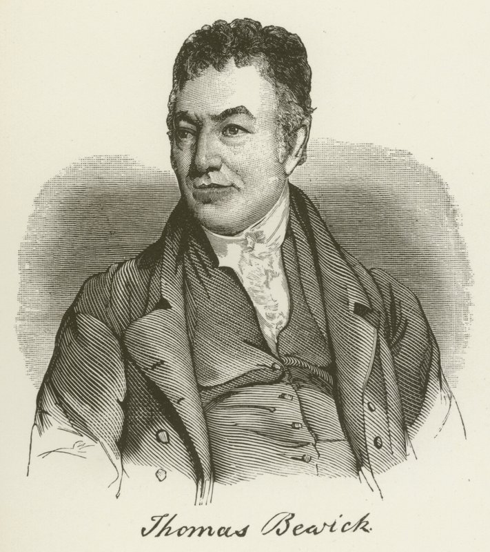 Thomas Bewick von English School