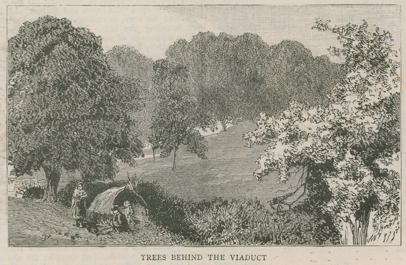 Bäume hinter dem Viadukt von English School
