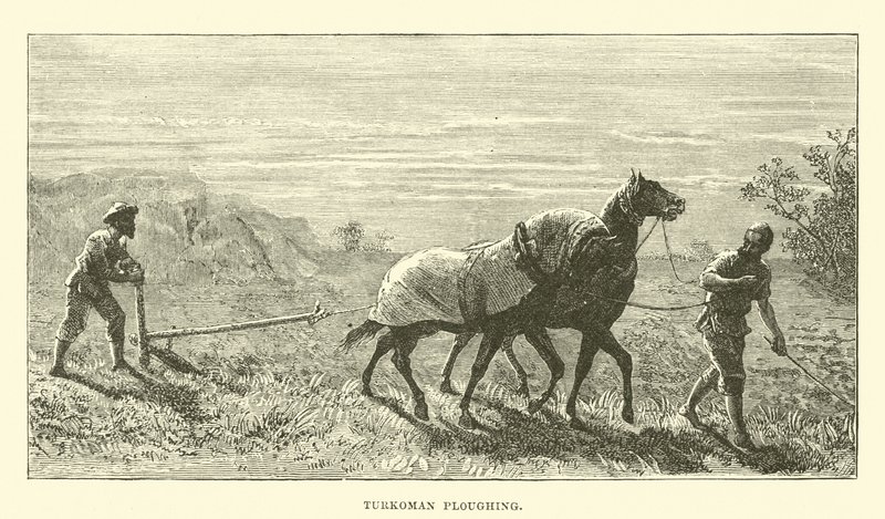 Turkmenisches Pflügen von English School