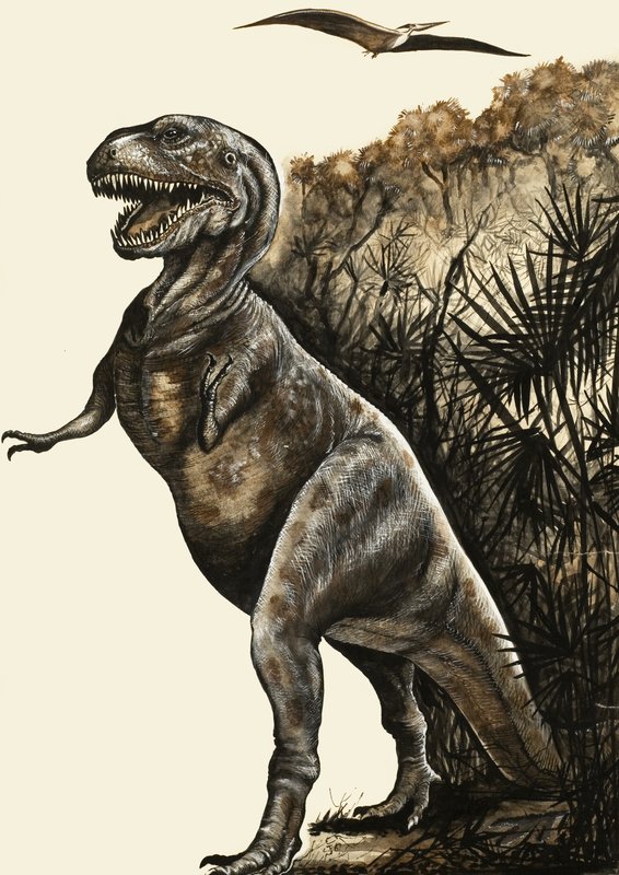 Tyrannosaurus Rex von English School